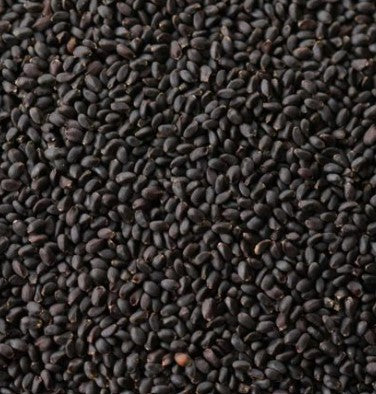 Basil Seeds - Sabja Seeds